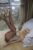 165cm / 5ft 5 Big Breast – JY Doll